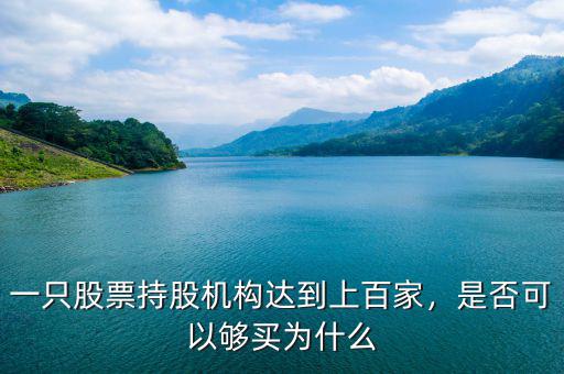一只股票持股機構(gòu)達(dá)到上百家，是否可以夠買為什么