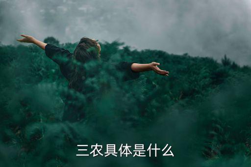三農具體是什么