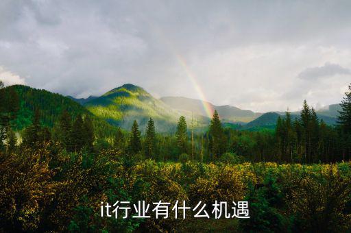 行業機遇不包括什么,it行業有什么機遇