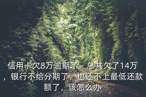 信用卡欠8萬(wàn)逾期了，總共欠了14萬(wàn)，銀行不給分期了，也還不上最低還款額了，該怎么辦