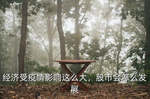 東軟發展受什么影響,經濟受疫情影響這么大