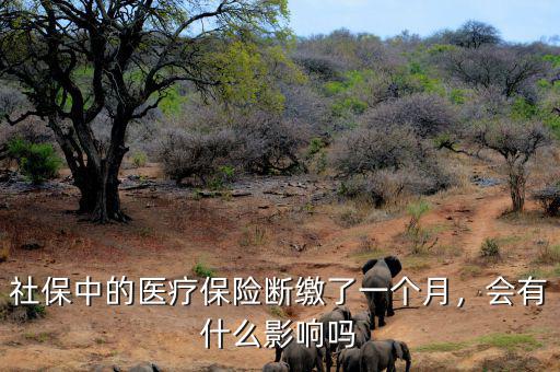 醫療保險斷交了有什么影響,對自己有什么影響