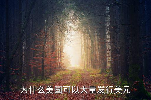 為什么美國可以大量發行美元