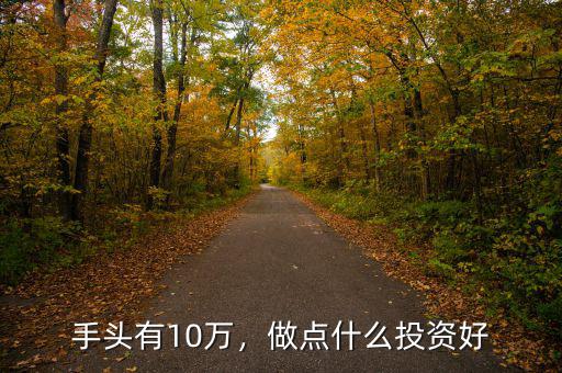 手頭有10萬，做點什么投資好