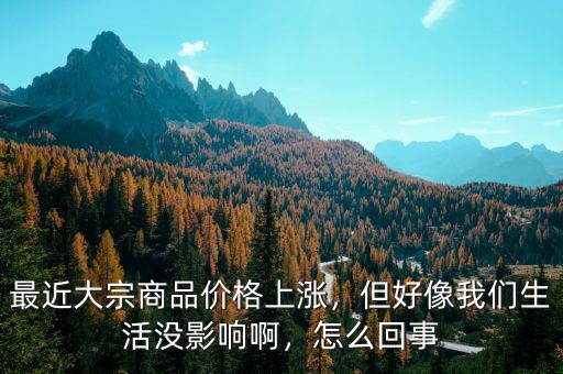 最近大宗商品價格上漲，但好像我們生活沒影響啊，怎么回事
