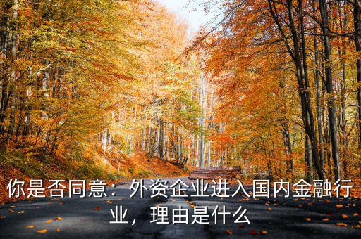 你是否同意：外資企業進入國內金融行業，理由是什么