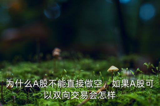 為什么A股不能直接做空，如果A股可以雙向交易會怎樣