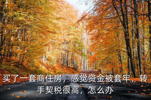 買了一套商住房，感覺資金被套牢，轉手契稅很高，怎么辦