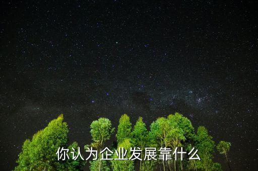 你認為企業發展靠什么