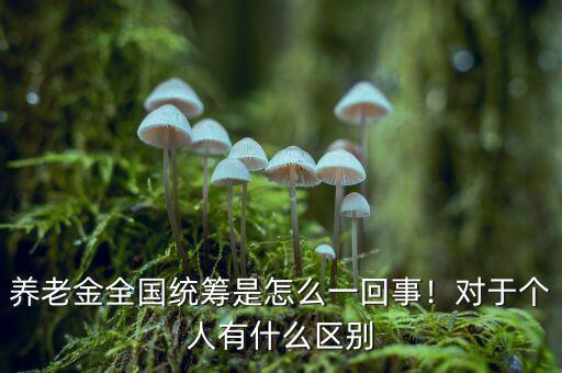 社保全國統籌是什么意思,養老金全國統籌是怎么一回事