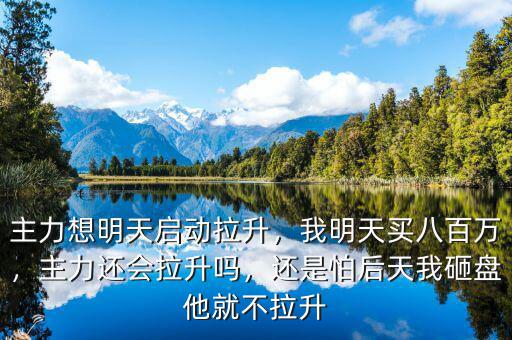 主力想明天啟動拉升，我明天買八百萬，主力還會拉升嗎，還是怕后天我砸盤他就不拉升
