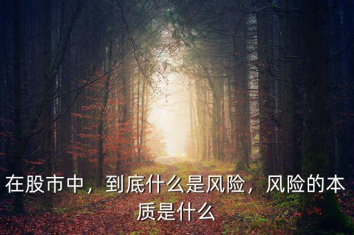 在股市中，到底什么是風險，風險的本質是什么