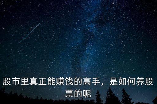 股市里真正能賺錢的高手，是如何養股票的呢