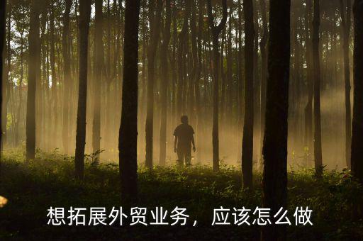 怎么拓展動漫海外業務,該如何拓展新的業務