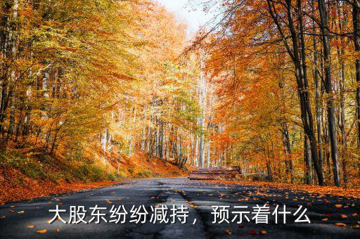 大股東紛紛減持，預示著什么