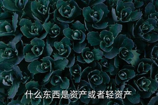 什么東西是資產或者輕資產