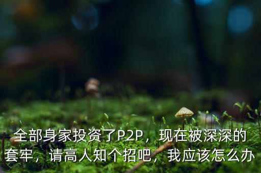 全部身家投資了P2P，現(xiàn)在被深深的套牢，請高人知個(gè)招吧，我應(yīng)該怎么辦