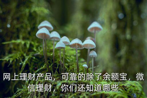 網(wǎng)上理財產(chǎn)品有什么,網(wǎng)上理財產(chǎn)品