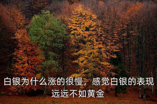 白銀為什么漲的很慢，感覺白銀的表現遠遠不如黃金