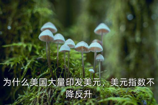 為什么美國大量印發美元，美元指數不降反升
