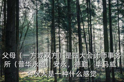 父母（一方或雙方）是四大會計師事務所（普華永道，安永，德勤，畢馬威）合伙人是一種什么感覺
