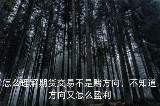 怎么理解期貨交易不是賭方向，不知道方向又怎么盈利