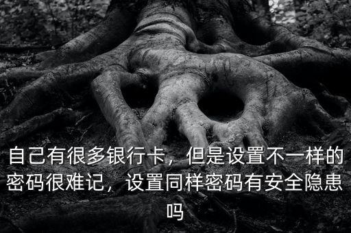 自己有很多銀行卡，但是設置不一樣的密碼很難記，設置同樣密碼有安全隱患嗎