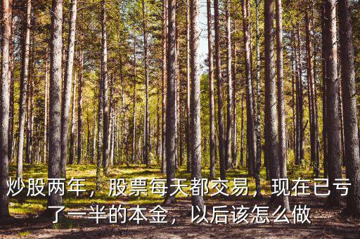 炒股兩年，股票每天都交易，現在已虧了一半的本金，以后該怎么做