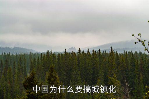 中國城鎮化多少合理,中國適合城鎮化嗎