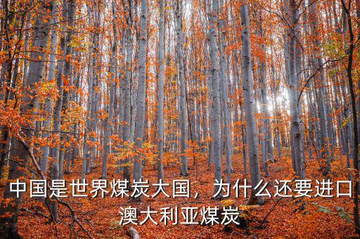 中國(guó)是世界煤炭大國(guó)，為什么還要進(jìn)口澳大利亞煤炭