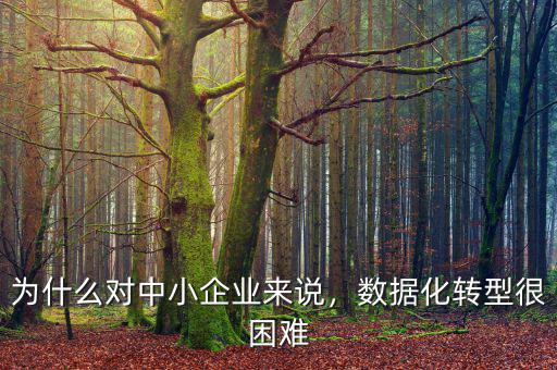 為什么對中小企業來說，數據化轉型很困難