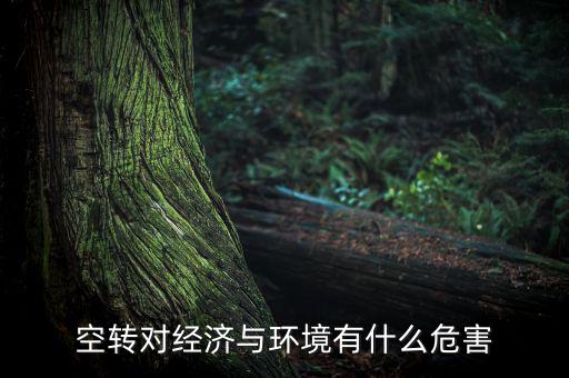 什么叫金融空轉,空轉對經濟與環境有什么危害