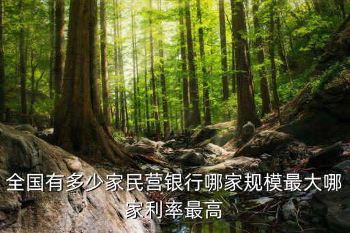 全國有多少家民營銀行哪家規模最大哪家利率最高