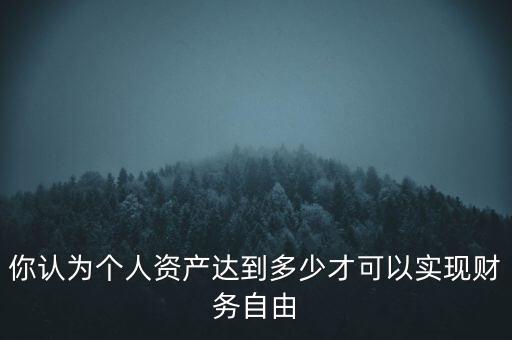 你認為個人資產達到多少才可以實現財務自由