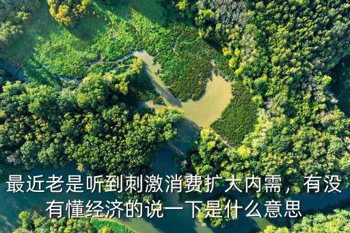 最近老是聽到刺激消費擴大內需，有沒有懂經濟的說一下是什么意思