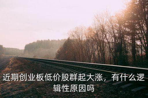 近期創業板低價股群起大漲，有什么邏輯性原因嗎