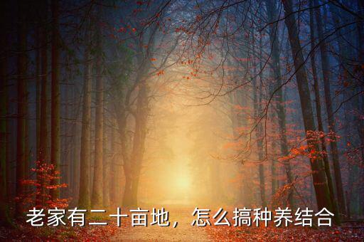 二十畝地怎么規劃,打算回農村租二十畝地