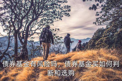 怎么選債券基金,債券基金業績持續上漲