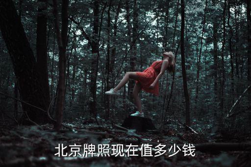北京牌照現在值多少錢