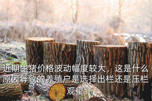 近期生豬價格波動幅度較大，這是什么原因導致的養殖戶是選擇出欄還是壓欄觀望