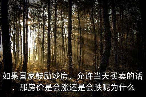 如果國家鼓勵炒房，允許當天買賣的話，那房價是會漲還是會跌呢為什么