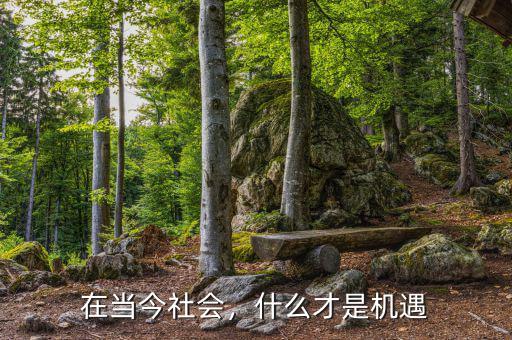 什么是發展機遇,什么才是機遇