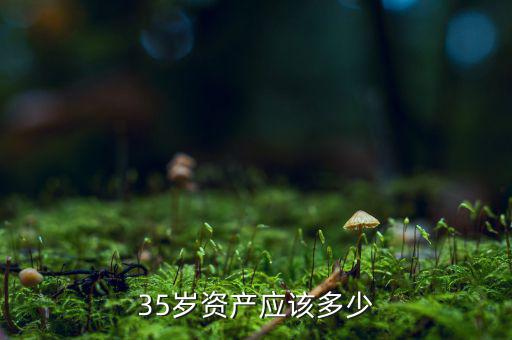 35歲資產應該多少