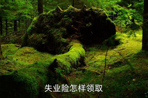 失業險怎樣領取