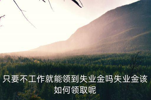 君樂寶失業金怎么領,只要不工作就能領到失業金嗎