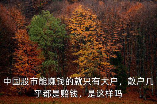 中國股市能賺錢的就只有大戶，散戶幾乎都是賠錢，是這樣嗎