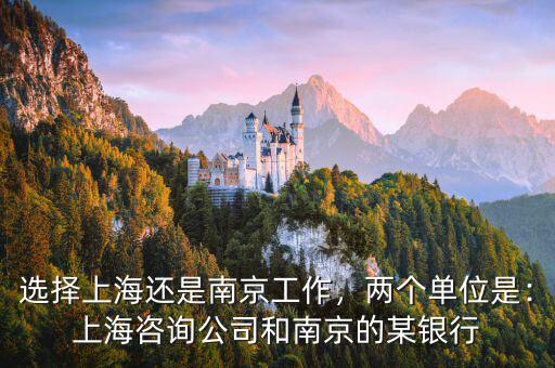 選擇上海還是南京工作，兩個單位是：上海咨詢公司和南京的某銀行