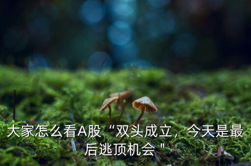 大家怎么看A股“雙頭成立，今天是最后逃頂機會＂