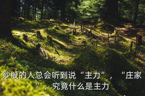 炒股的人總會聽到說“主力”，“莊家”，究竟什么是主力