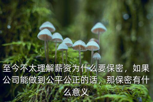 至今不太理解薪資為什么要保密，如果公司能做到公平公正的話，那保密有什么意義